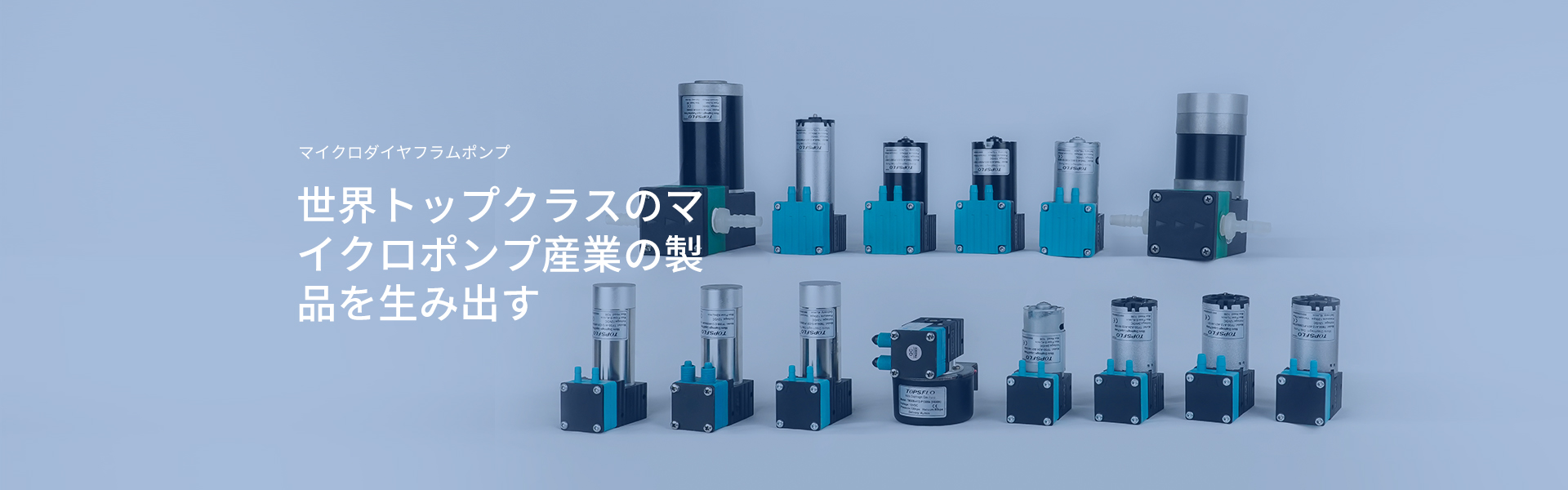 TMシリーズ マイクロダイヤフラムガスポンプ