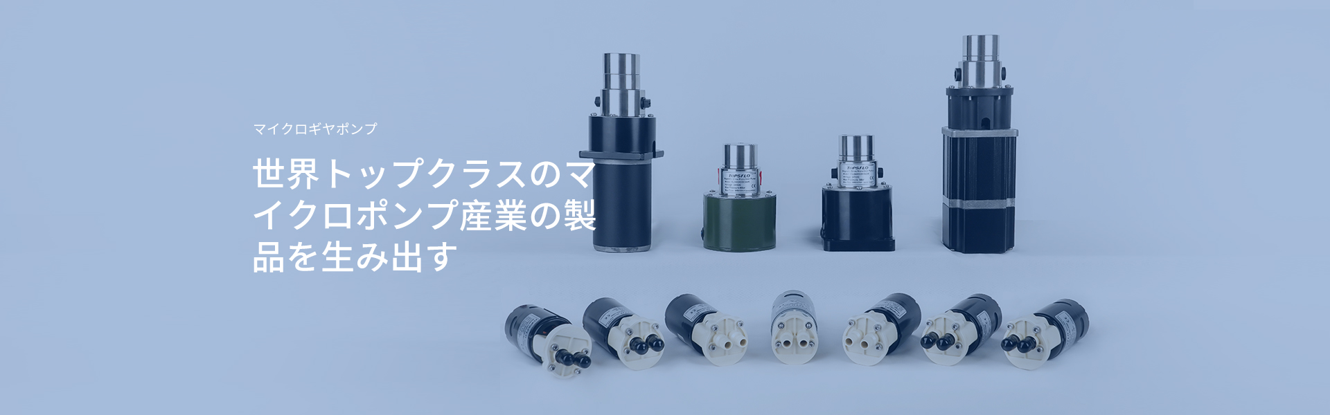 マイクロギアポンプ